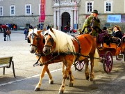 016  horse carriage.JPG